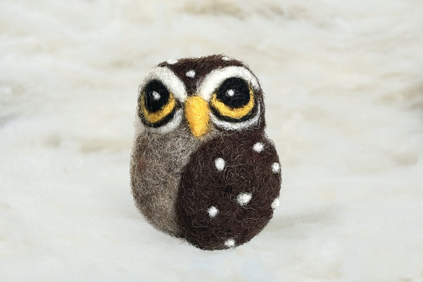 Curious Owl Ornament