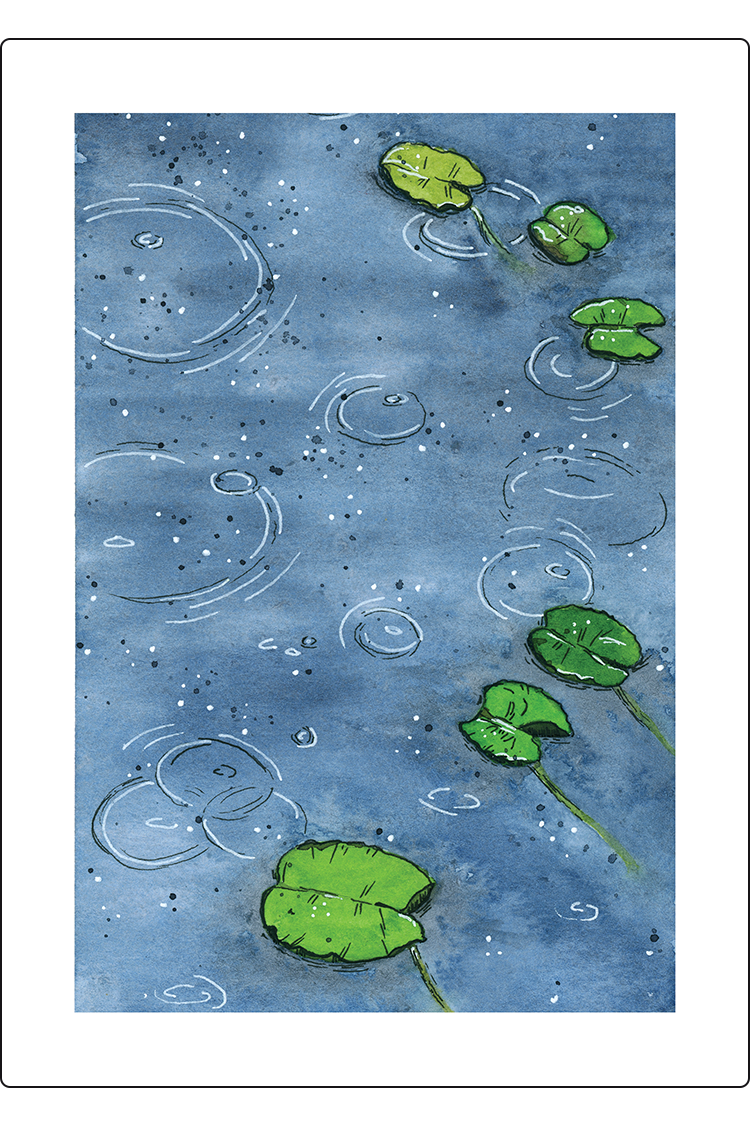 Raindrops Card