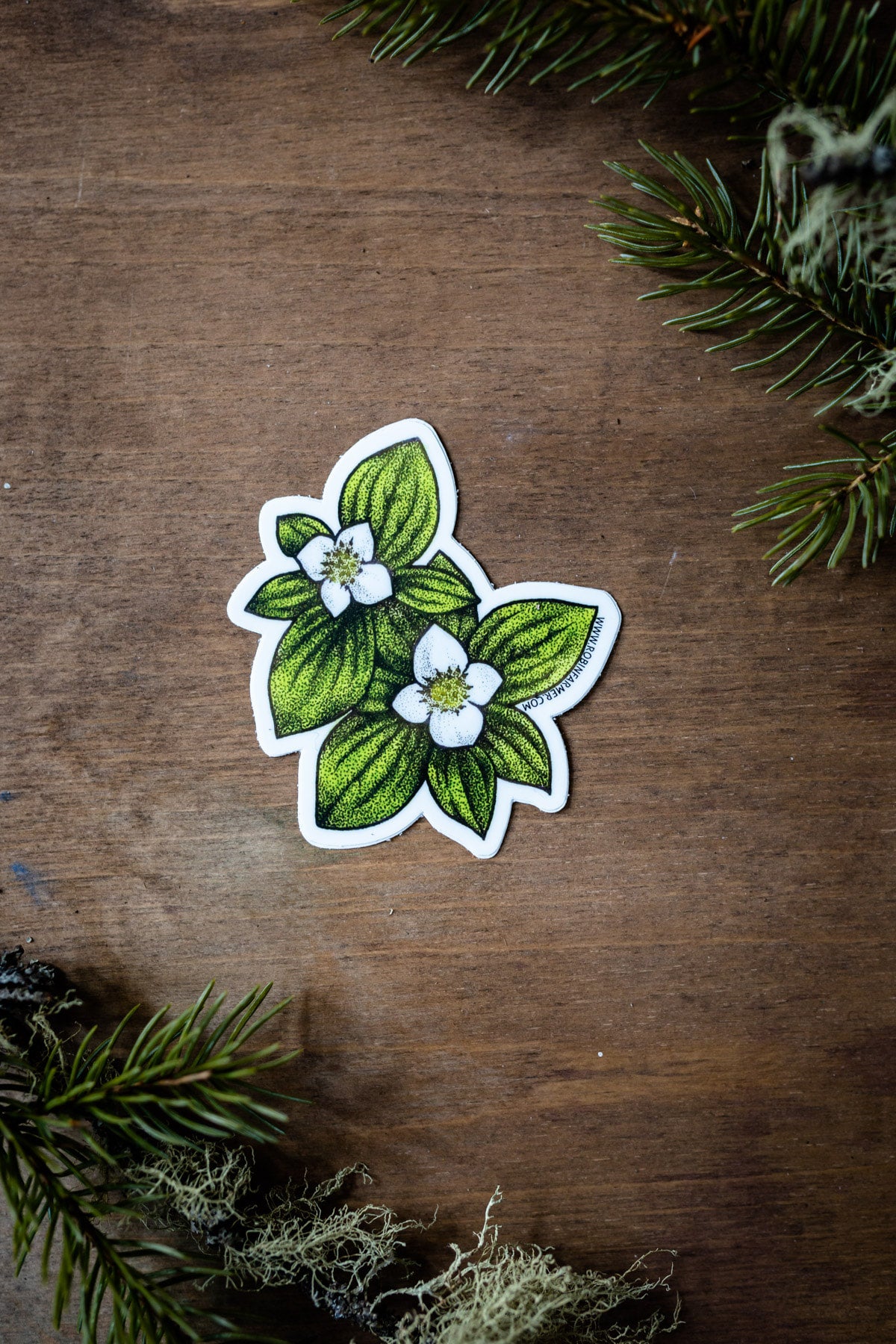 Dogwood Sticker