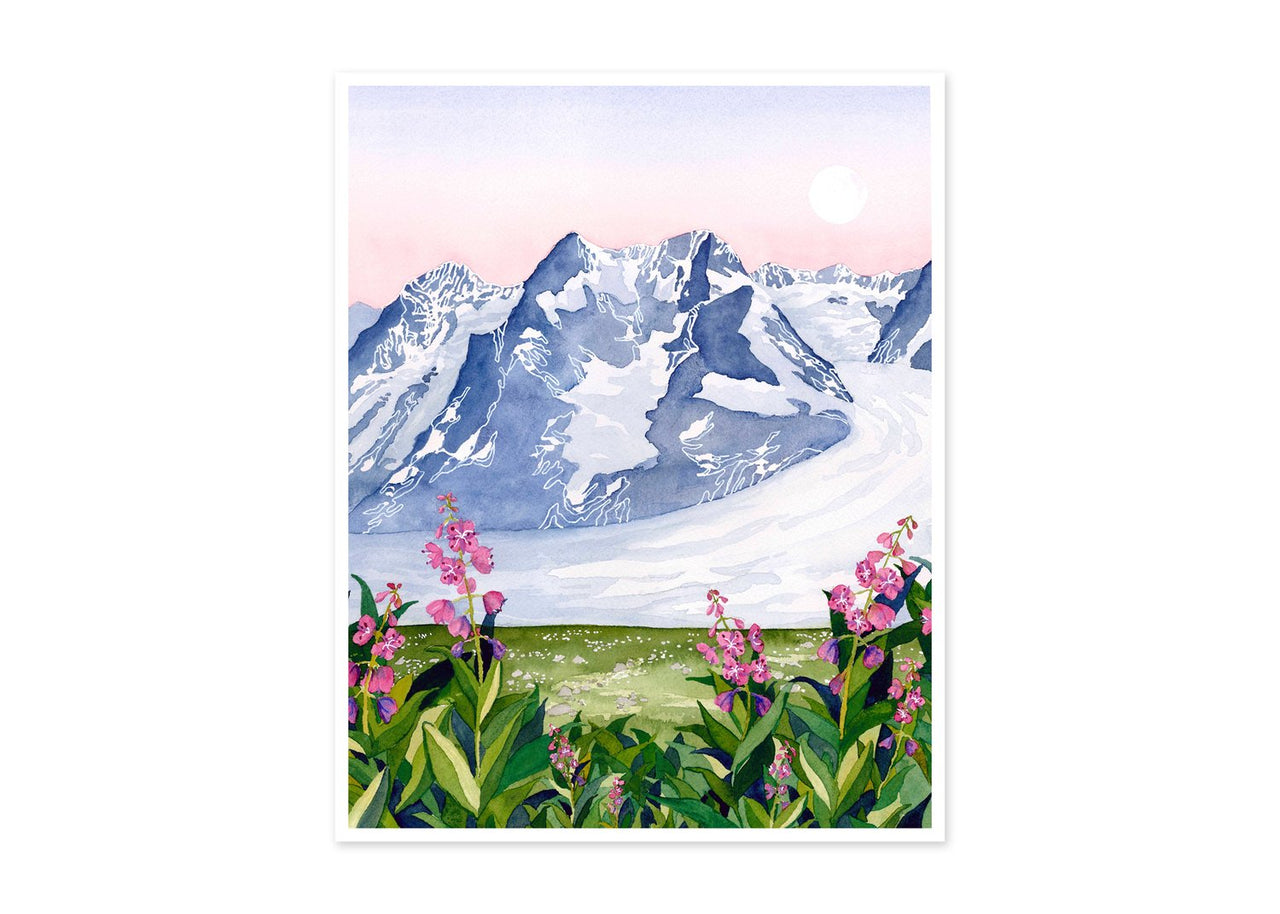 Land of Ice + Fireweed Print