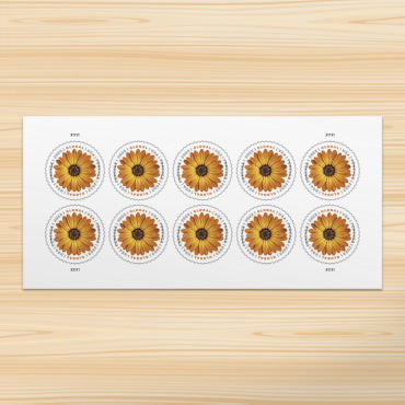 *Global Forever Stamps: African Daisy*